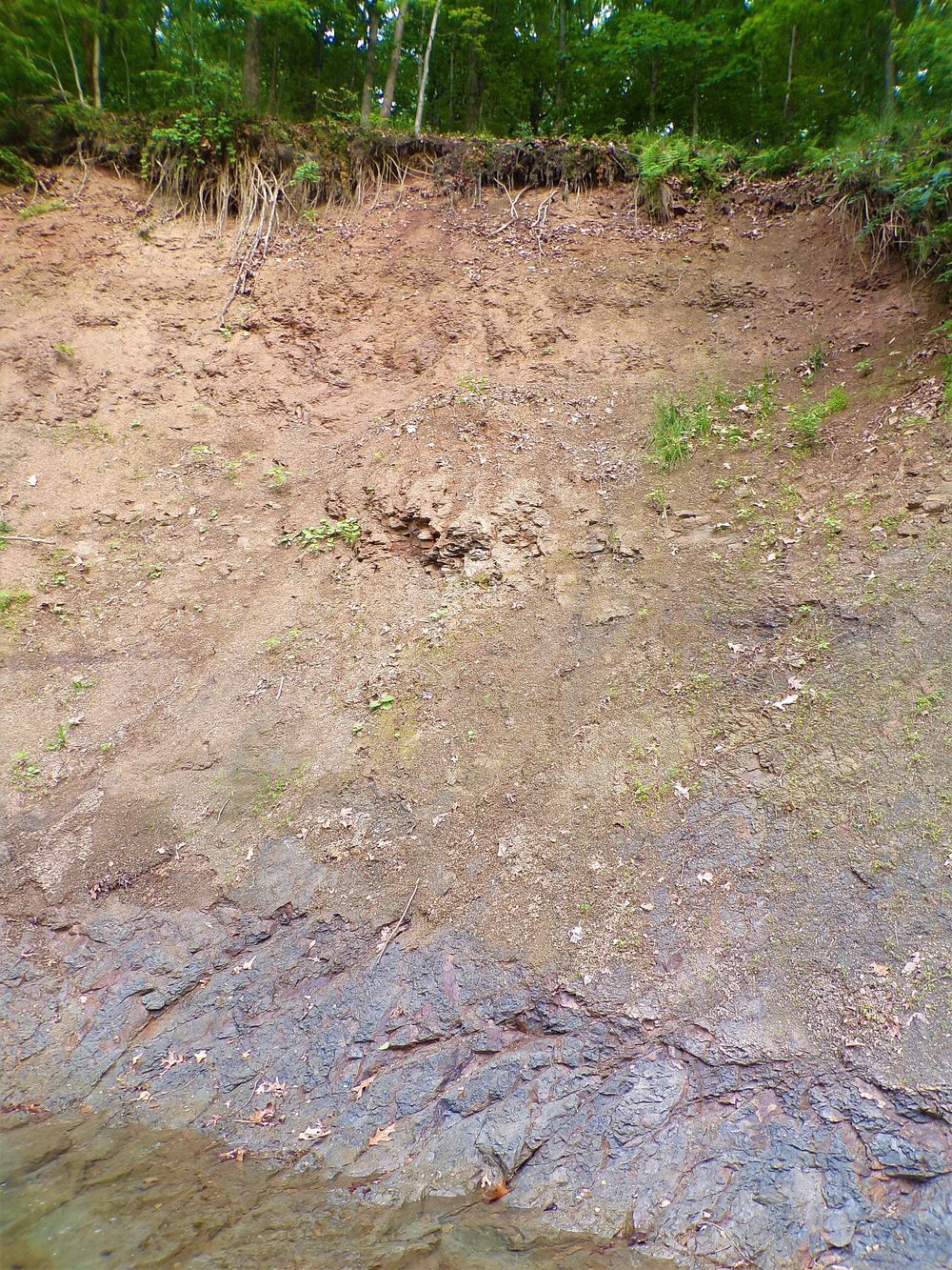 A vertical cut through soil showing bands of different colour and texture, darker and richer near the surface and paler and denser below.